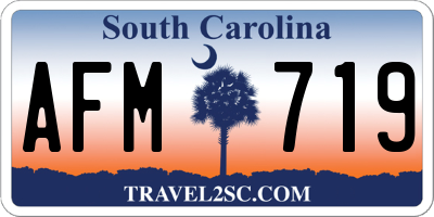 SC license plate AFM719
