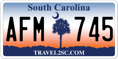 SC license plate AFM745