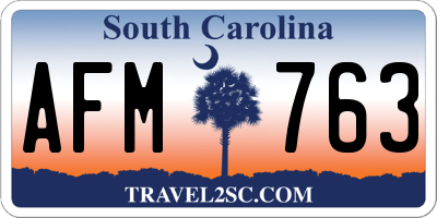 SC license plate AFM763