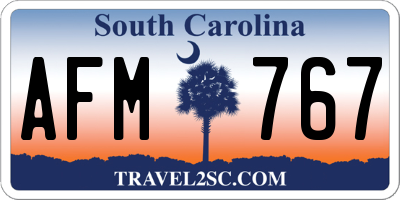 SC license plate AFM767