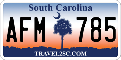 SC license plate AFM785