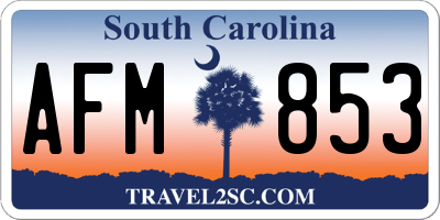 SC license plate AFM853