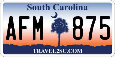 SC license plate AFM875