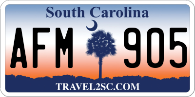 SC license plate AFM905