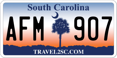 SC license plate AFM907