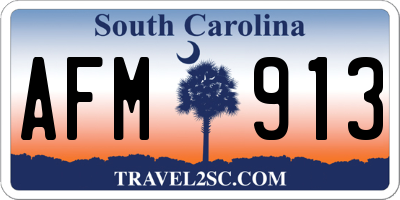 SC license plate AFM913