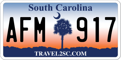 SC license plate AFM917