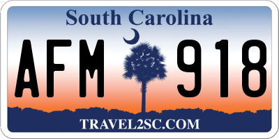 SC license plate AFM918