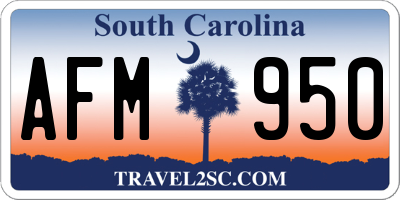 SC license plate AFM950