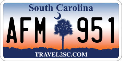 SC license plate AFM951