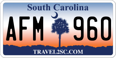 SC license plate AFM960