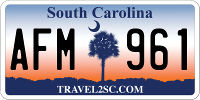 SC license plate AFM961