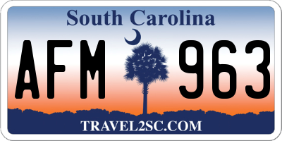 SC license plate AFM963