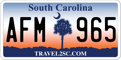 SC license plate AFM965