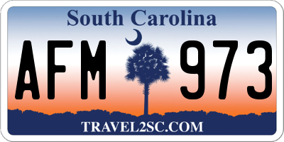 SC license plate AFM973