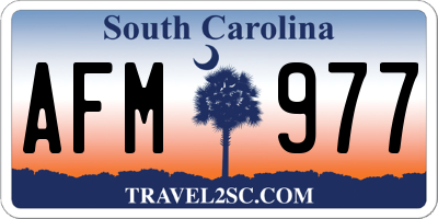 SC license plate AFM977