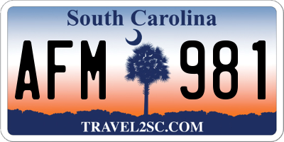 SC license plate AFM981