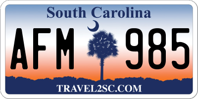 SC license plate AFM985