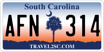 SC license plate AFN314
