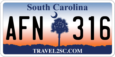 SC license plate AFN316