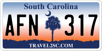 SC license plate AFN317