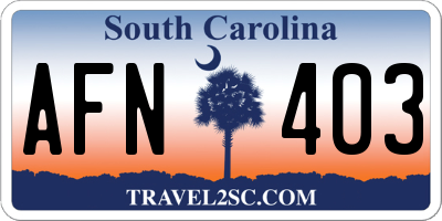 SC license plate AFN403