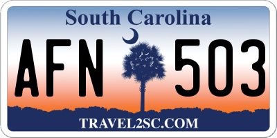 SC license plate AFN503