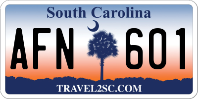 SC license plate AFN601
