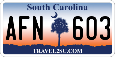 SC license plate AFN603