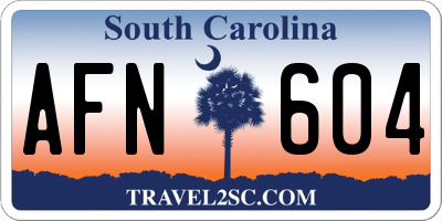 SC license plate AFN604