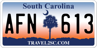 SC license plate AFN613