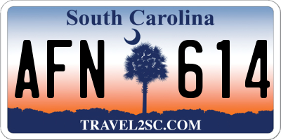 SC license plate AFN614