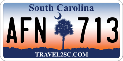 SC license plate AFN713