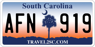 SC license plate AFN919
