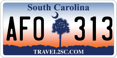 SC license plate AFO313