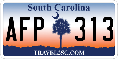 SC license plate AFP313