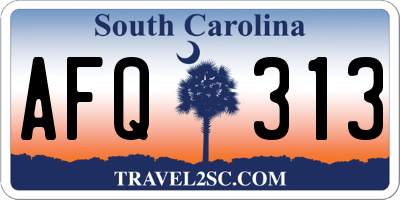 SC license plate AFQ313