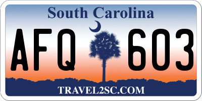 SC license plate AFQ603