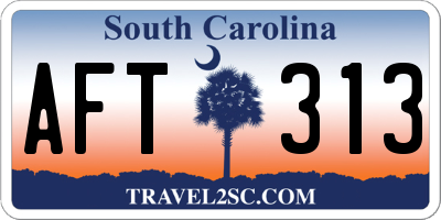 SC license plate AFT313