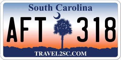 SC license plate AFT318