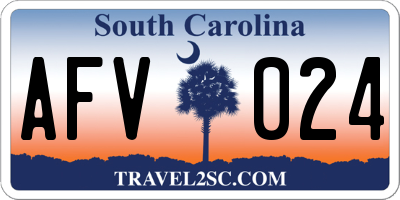 SC license plate AFV024