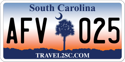 SC license plate AFV025
