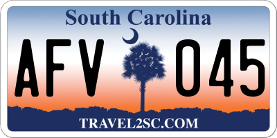 SC license plate AFV045