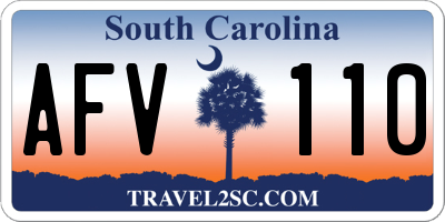 SC license plate AFV110