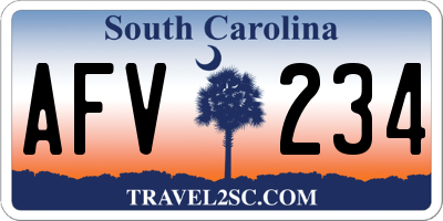 SC license plate AFV234