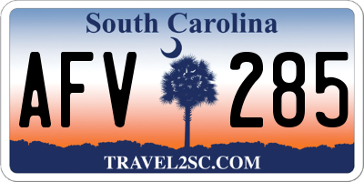 SC license plate AFV285