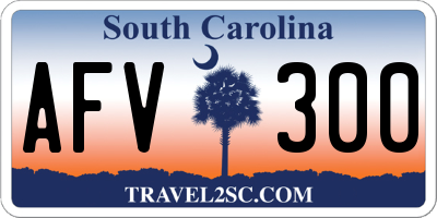 SC license plate AFV300