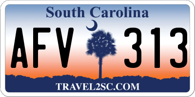 SC license plate AFV313