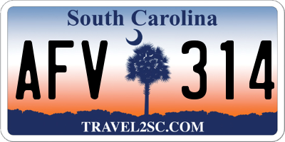 SC license plate AFV314