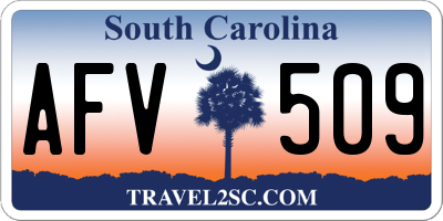 SC license plate AFV509